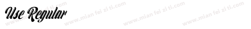 Use Regular字体转换